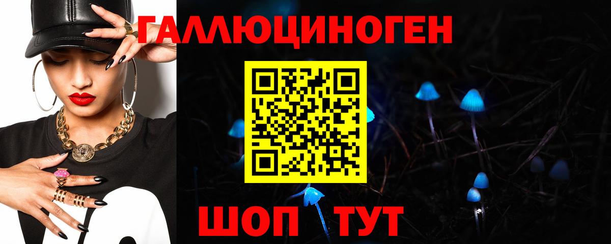Галлюциногенные грибы GOLDEN TEACHER  Псилоцибиновые грибы прущие грибы  Чайковский  Вход с VPN 