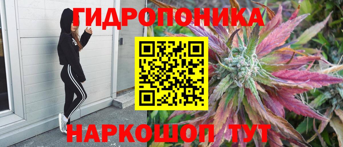 МАРИХУАНА Bruce Banner  Каннабис гибрид  Марихуана сатива  Чайковский  Каннабис планчик  Вход с VPN 